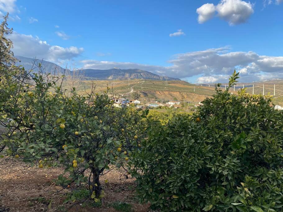 Semesterbostad Gated Private With Large Pool *